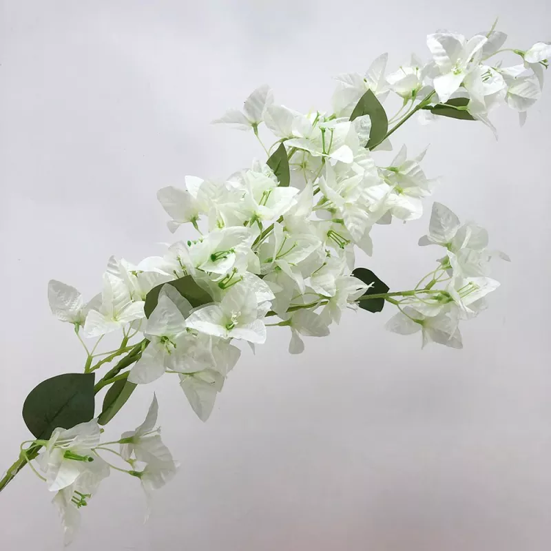 Faux Bougainvillea гүлдері