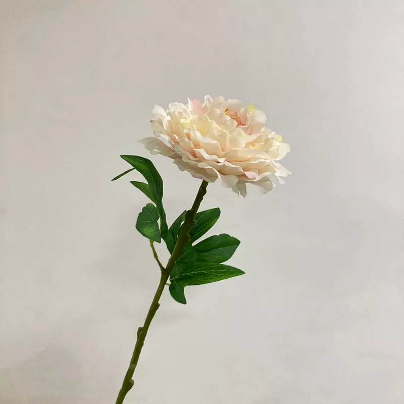 Үлкен жасанды пион гүлдері